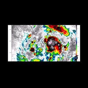 Meet your Posher, Luis